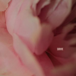 动漫女生被奖励片子
